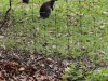 IMG_20221107_114541