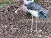 IMG_20221107_114917