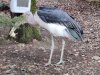 IMG_20221107_114933