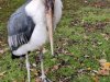 IMG_20221107_115005