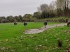 IMG_20221108_102521