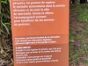 IMG_20221108_102931