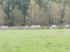 IMG_20221108_103814