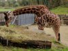IMG_20221108_105409