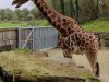 IMG_20221108_105804