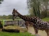 IMG_20221108_110102