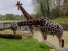 IMG_20221108_110108