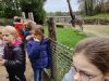 IMG_20221108_115024