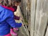 IMG_20221109_104738