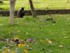 IMG_20221109_113230