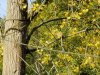IMG_20221109_113300