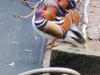 IMG_20221109_114304