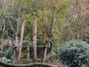 IMG_20221109_114539