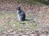 IMG_20221109_114745