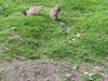 IMG_20221109_142333