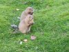 IMG_20221109_142616