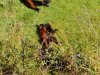 IMG_20221109_143757