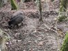 IMG_20221109_144010