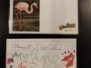 IMG_20221108_080802