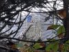 20221108_110351