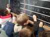 IMG-20250110-WA0034
