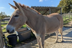 PXL_20251014_093743262