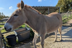 PXL_20251014_093745328.MP_