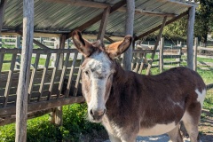 PXL_20251014_093834005