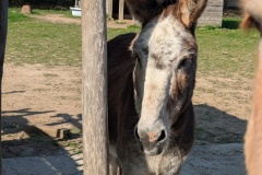 PXL_20251014_093959979