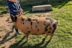Img_933