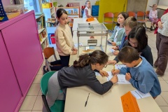 PXL_20251010_093442466