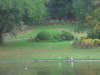 DSC09006