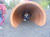 DSC09023