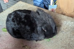 1_PXL_20251014_090925417