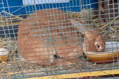 PXL_20251014_090653018