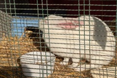 PXL_20251014_090709239