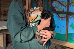 PXL_20251014_090846766.MP_