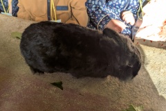 PXL_20251014_090929046