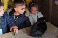 PXL_20251014_090941019