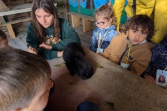 PXL_20251014_091103653.MP_