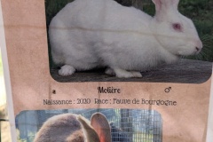 PXL_20251014_091529454