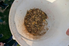 PXL_20251014_074958902