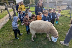 PXL_20251014_075108341