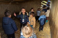 PXL_20251014_075549468.MP_