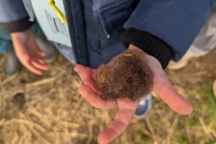 PXL_20251014_075911427