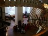 IMG_20230515_120726