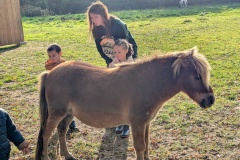 PXL_20251014_082947914