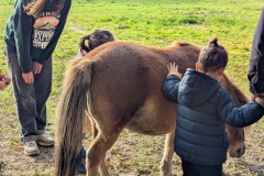 PXL_20251014_083001782