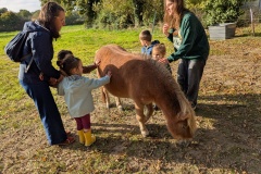 PXL_20251014_083707952.MP_