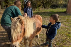 PXL_20251014_083838528